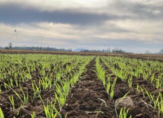 Cooperja prepara 1ª Edição de Inverno do Campo Agroacelerador