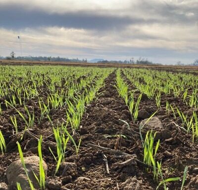Cooperja prepara 1ª Edição de Inverno do Campo Agroacelerador