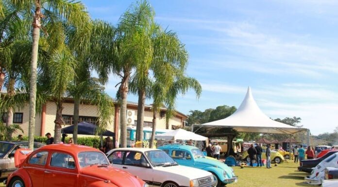 Encontro de Fuscas e Antigos bate recorde de participantes
