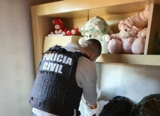 Polícia Civil de Turvo prende autor de roubo