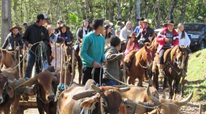 Timbé do Sul sedia Festa dos Bois Carreiros e Tropeiros