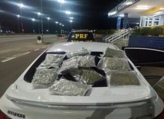 Traficante é preso com mala cheia de skunk em Torres