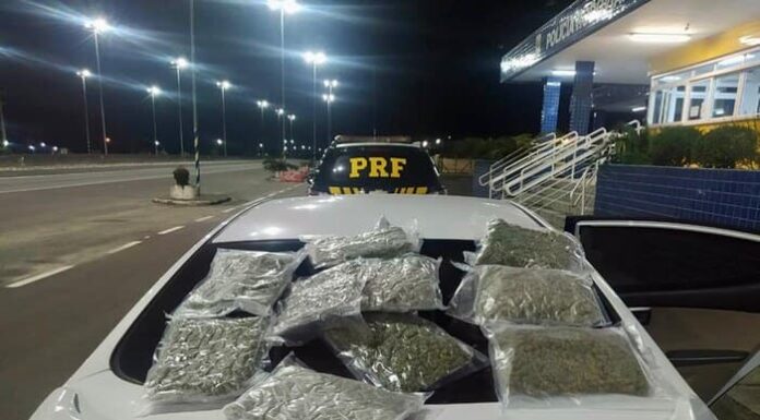 Traficante é preso com mala cheia de skunk em Torres