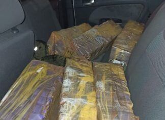 Mais de 280 quilos de maconha são apreendidos após motorista tentar atropelar policial na BR-101