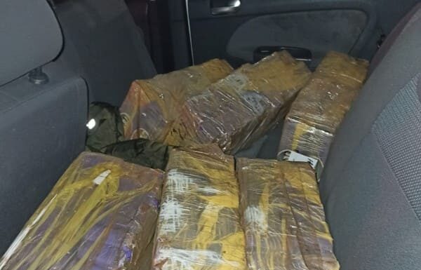 Mais de 280 quilos de maconha são apreendidos após motorista tentar atropelar policial na BR-101