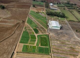 Cooperja prepara edição do Campo Agroacelerador de inverno