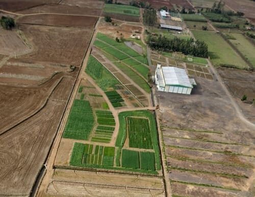 Cooperja prepara edição do Campo Agroacelerador de inverno