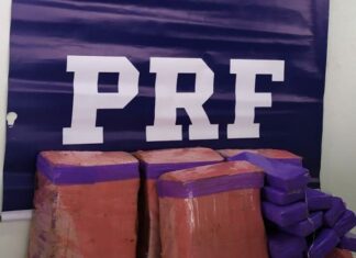 PRF de Araranguá apreende 100 kg de maconha