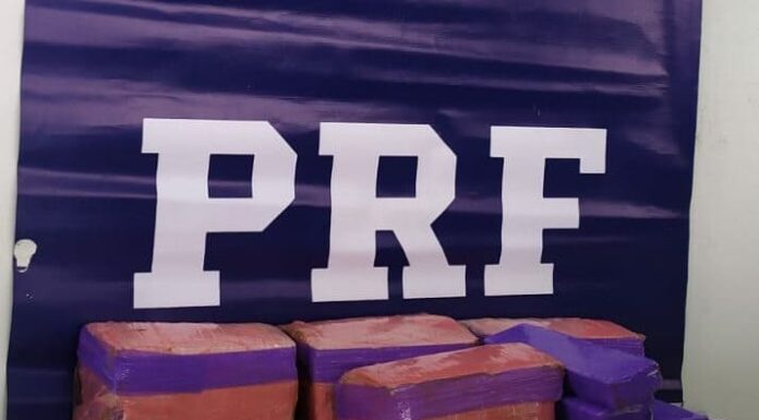 PRF de Araranguá apreende 100 kg de maconha