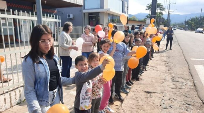 APAE de Timbé do Sul realiza carreata de conscientização