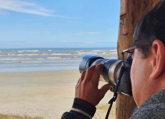 Baleias são vistas em Balneário Gaivota