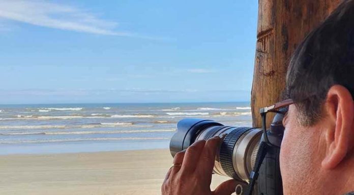 Baleias são vistas em Balneário Gaivota