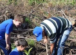 Dia da árvore é lembrado em Jacinto Machado