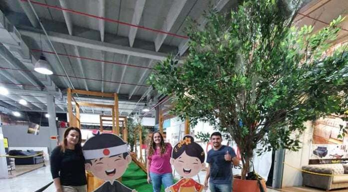 Japa Kids inaugura neste domingo