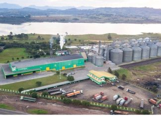 Cooperja está entre as maiores beneficiadoras de arroz do RS