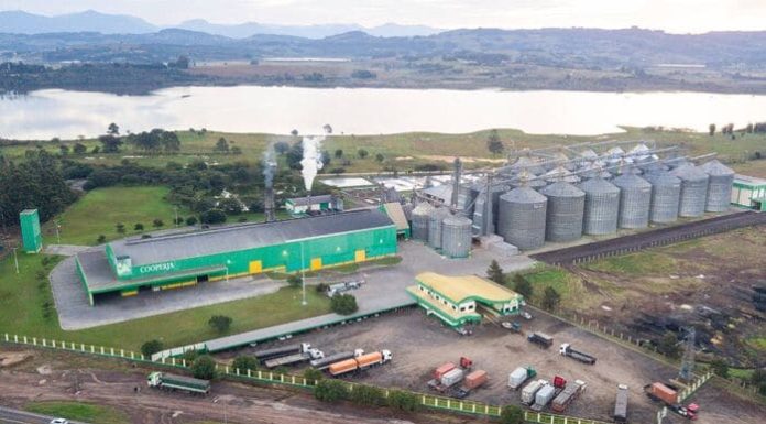 Cooperja está entre as maiores beneficiadoras de arroz do RS