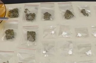 PM apreende drogas e captura suspeito de traficância e maus-tratos em Sombrio