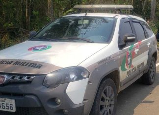 Cão é encontrado morto e caso de possível envenenamento preocupa moradores em São João do Sul