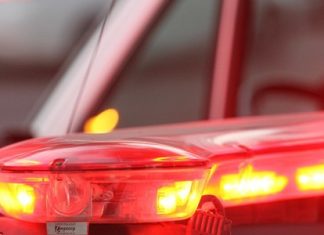 Ação do MPSC identifica e recolhe carnes irregulares em Sombrio e Balneário Gaivota