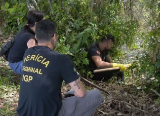 Corpo carbonizado é encontrado no interior de São João do Sul