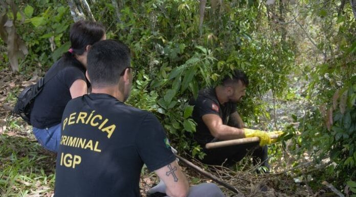 Corpo carbonizado é encontrado no interior de São João do Sul