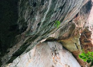 Últimos dias para inscrições para o Encontro de Condutores do Geoparque em Timbé do Sul