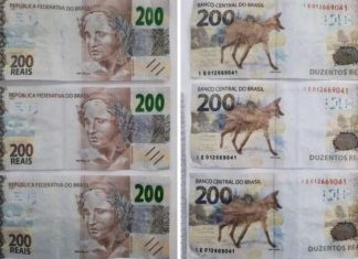 PM apreende notas falsas e captura suspeito em Sombrio