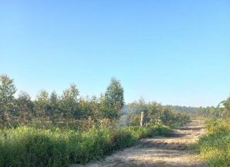 Segundo casal suspeito de matar e carbonizar vítima é preso pela DIC