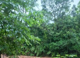 Chuvas dos últimos dias causam transtornos em Timbé do Sul