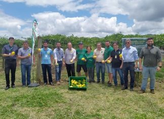 Dia de Campo abre oficialmente a colheita do maracujá na região