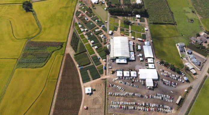 Cooperja prepara edição do Campo Agroacelerador
