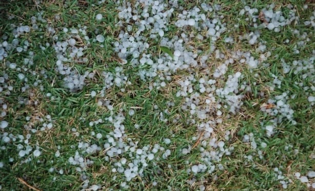 WhatsApp Image 2023-02-11 at 12.59.13 (1)