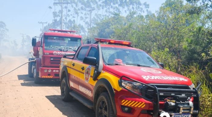 Incêndio criminoso gera prejuízo e causa acidente em Passo de Torres