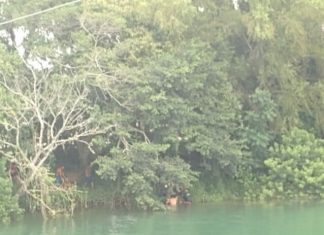 Adolescente morre afogado no Rio Araranguá