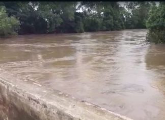 Prefeitura monitora áreas alagadas pelo Rio do Cedro em Meleiro