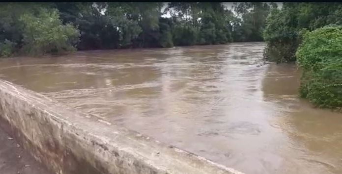 Prefeitura monitora áreas alagadas pelo Rio do Cedro em Meleiro