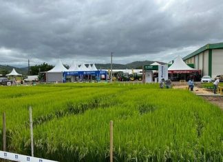 Tudo pronto para o Campo Agroacelerador da Cooperja