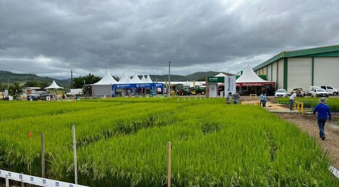 Tudo pronto para o Campo Agroacelerador da Cooperja
