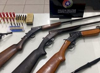 Armas e munições são apreendidas em abordagem policial