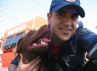 Bombeiros se despedem da Mel, cão de buscas