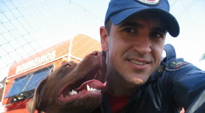 Bombeiros se despedem da Mel, cão de buscas