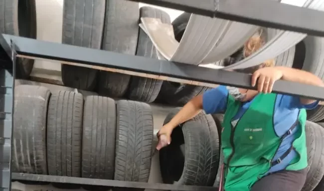 Dia D de Combate à Dengue em Sombrio