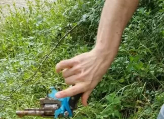 Polícia Civil esclarece tentativa de latrocínio em Timbé do Sul