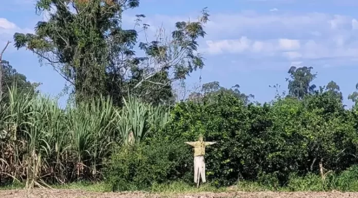 PM é acionada para fazer averiguação em colégio de Araranguá