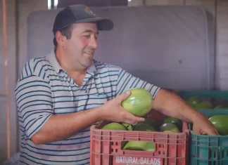 Nota Fiscal Eletrônica para o produtor rural se torna obrigatória a partir de julho