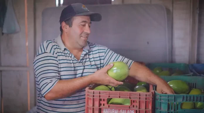 Nota Fiscal Eletrônica para o produtor rural se torna obrigatória a partir de julho