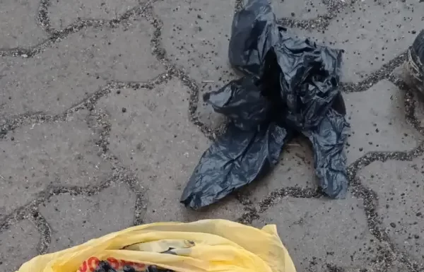 PM apreende grande quantidade de drogas em Passo de Torres