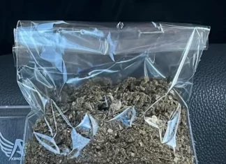 PM apreende maconha em Passo de Torres