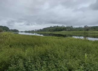 Bióloga da Secretaria Municipal de Meio Ambiente faz esclarecimentos na Câmara de Vereadores de Balneário Gaivota