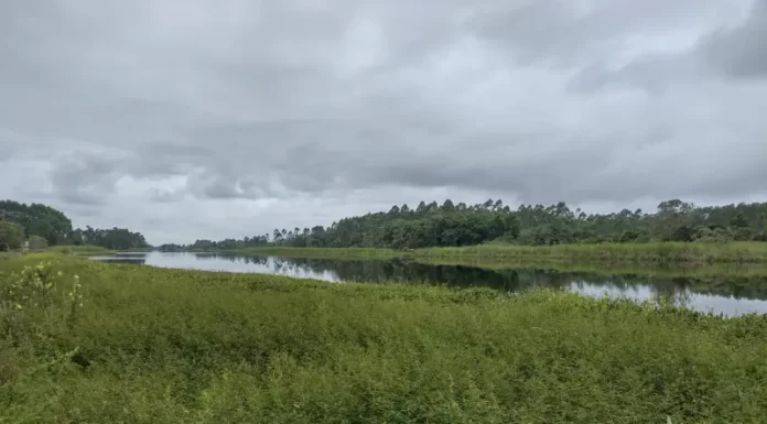 Bióloga da Secretaria Municipal de Meio Ambiente faz esclarecimentos na Câmara de Vereadores de Balneário Gaivota